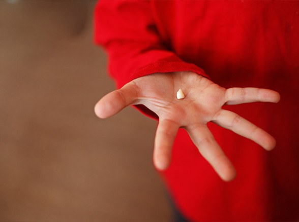 Hand holding an extracted tooth