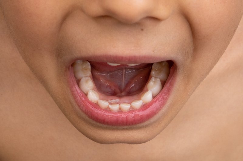view of a child’s shark tooth